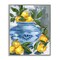 Stupell Industries Indigo & Lemon Vase Framed Giclee, design by Melissa Wang